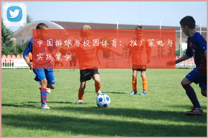 中国排球与校园体育:推广策略与实践案例
