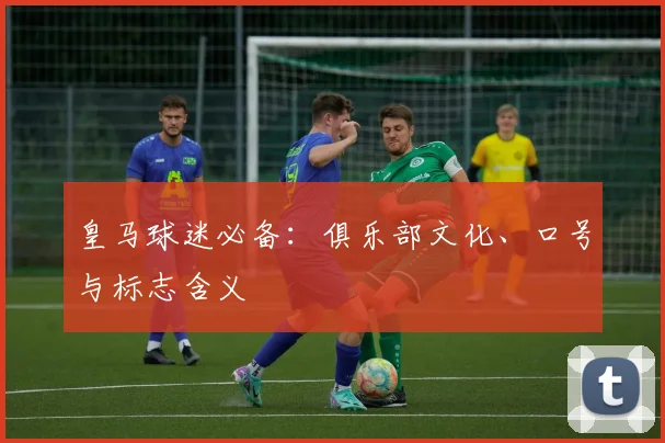 皇马球迷必备:俱乐部文化、口号与标志含义