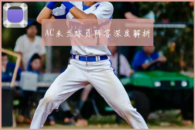 AC米兰球员阵容深度解析