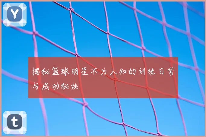 揭秘篮球明星不为人知的训练日常与成功秘诀