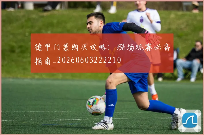 德甲门票购买攻略:现场观赛必备指南_20260603222210